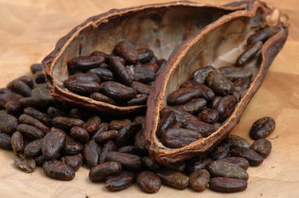 raw-cacao-beans.jpg