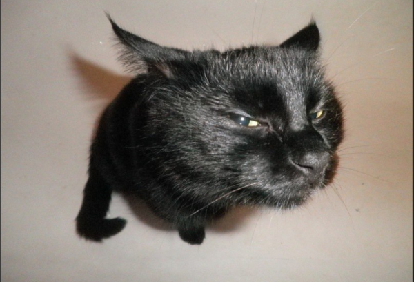 Screenshot 2023-10-15 at 14-37-38 9g61bSHlx1o.jpg (