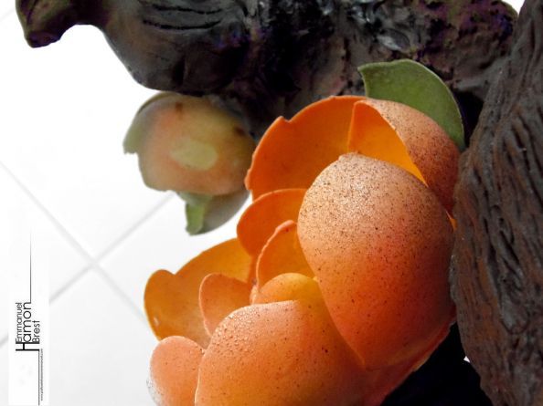 Piece gorille patisserie Hamon emmanuel 9.jpg