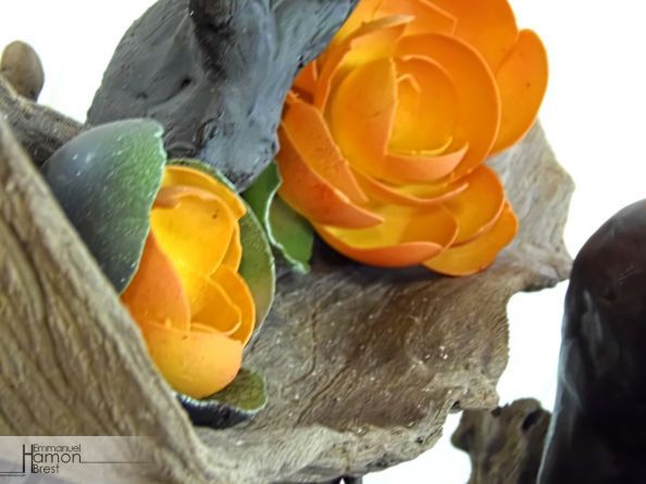 Piece gorille patisserie Hamon emmanuel 10.jpg